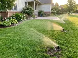 irrigation system